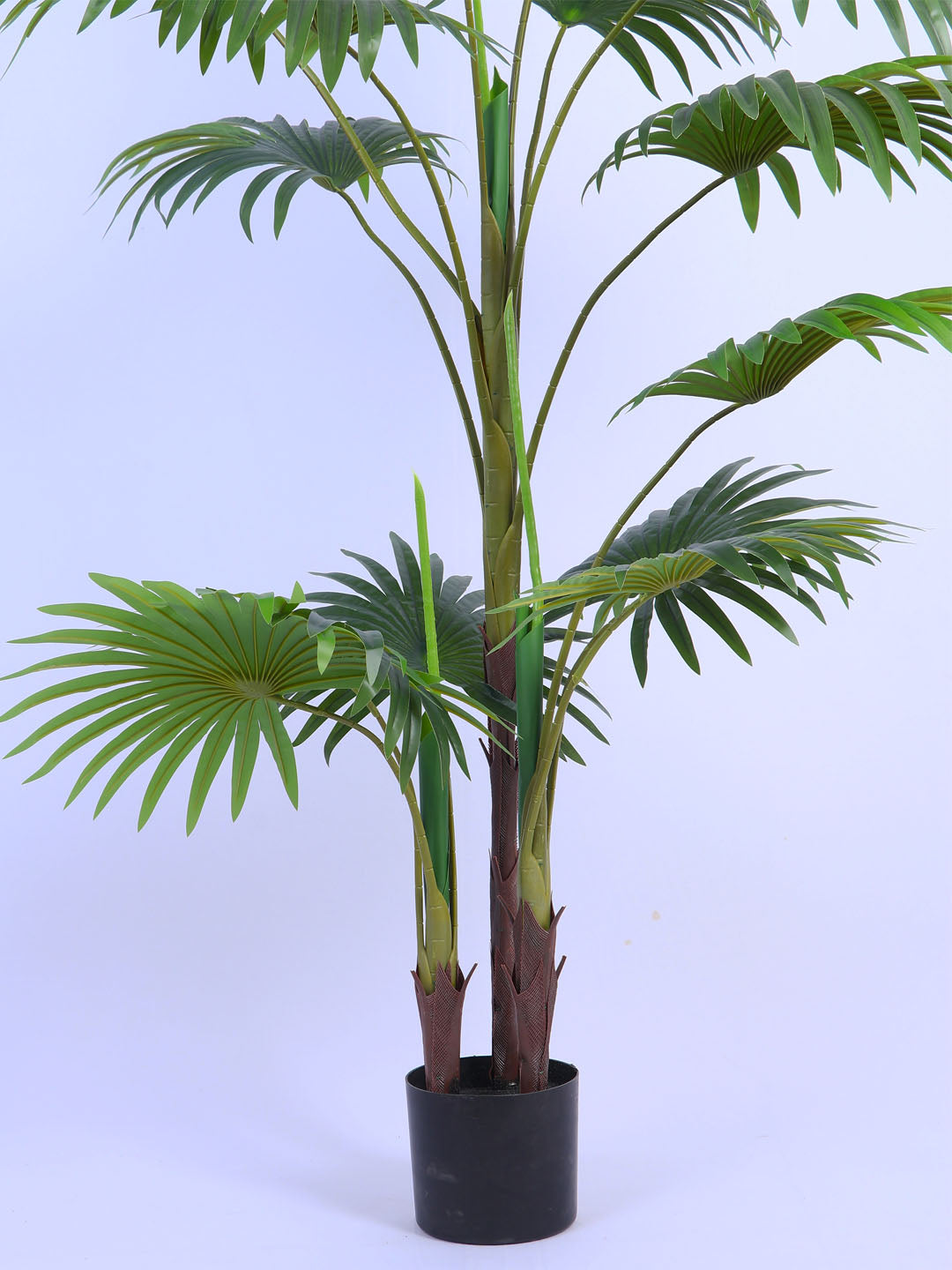 4.7Ft Artificial Palmetto Palm Tree in Pot