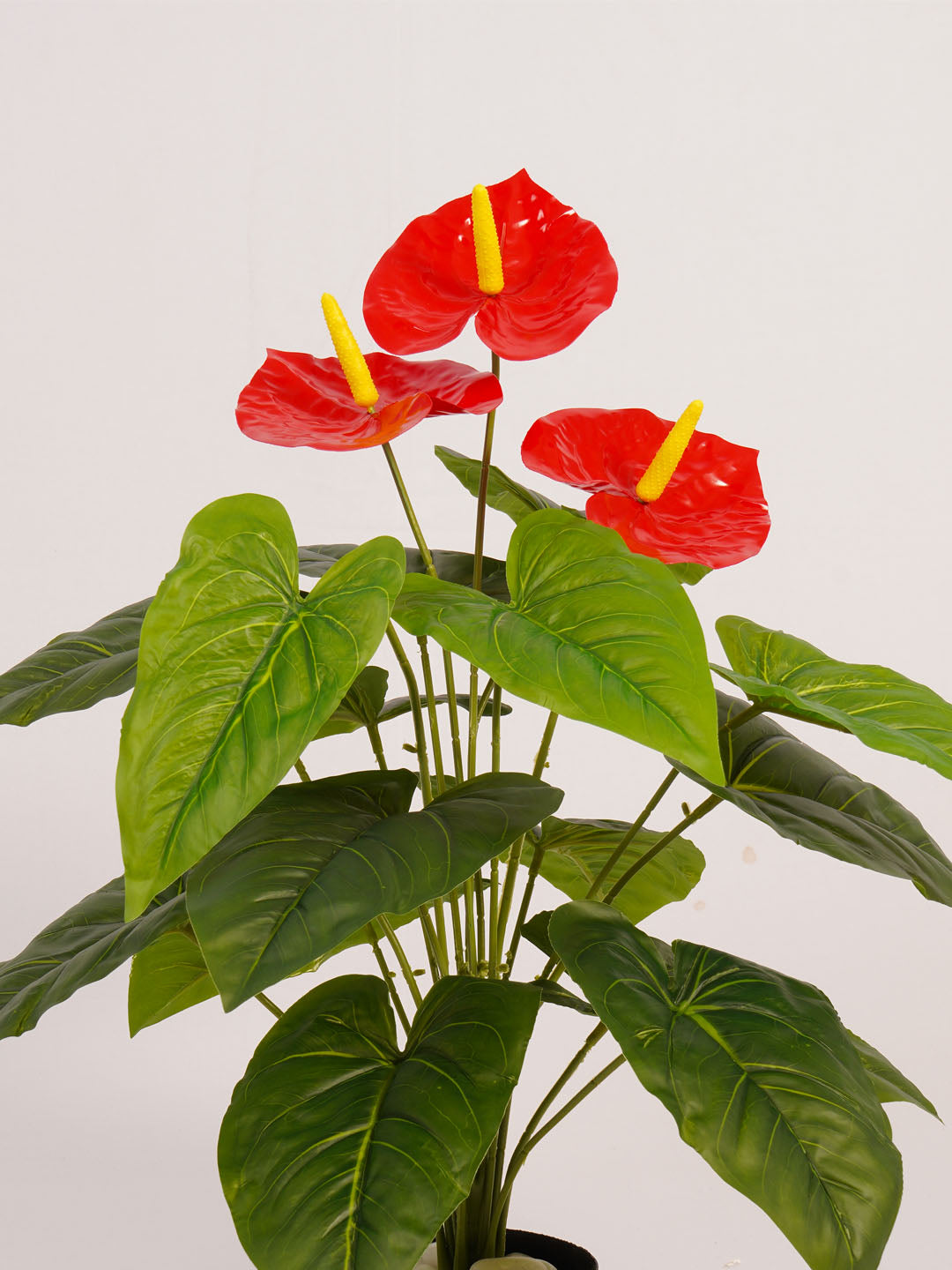 2.1Ft Artificial Anthurium Plant with Red Flowers & Black Pot