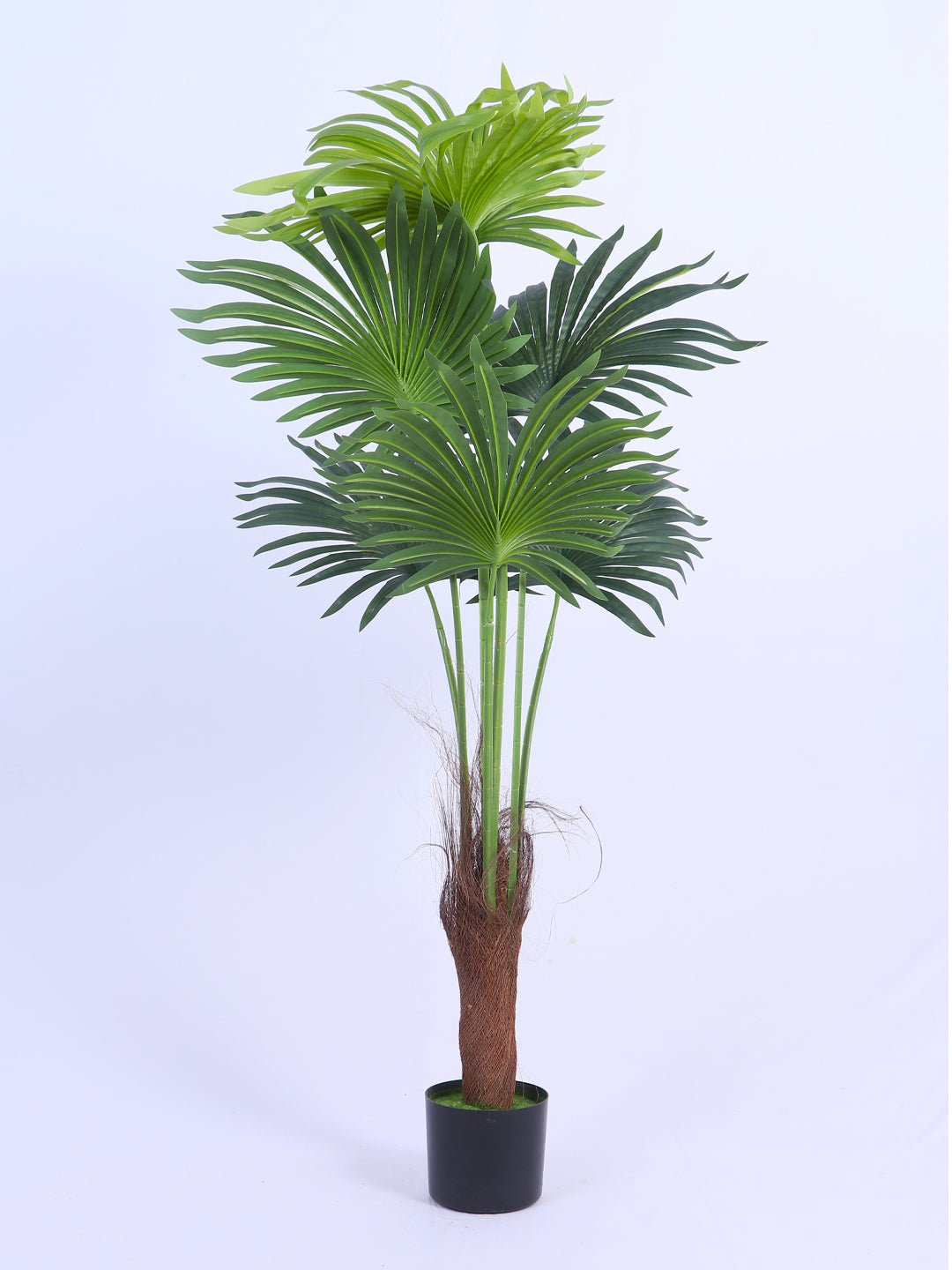 4.1Ft Artificial Palmetto Palm Tree in Pot