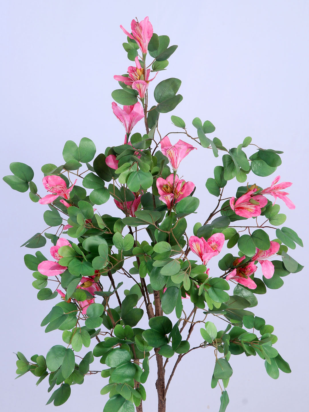 5Ft Artificial Pink Bauhinia Flowers Tree in Pot