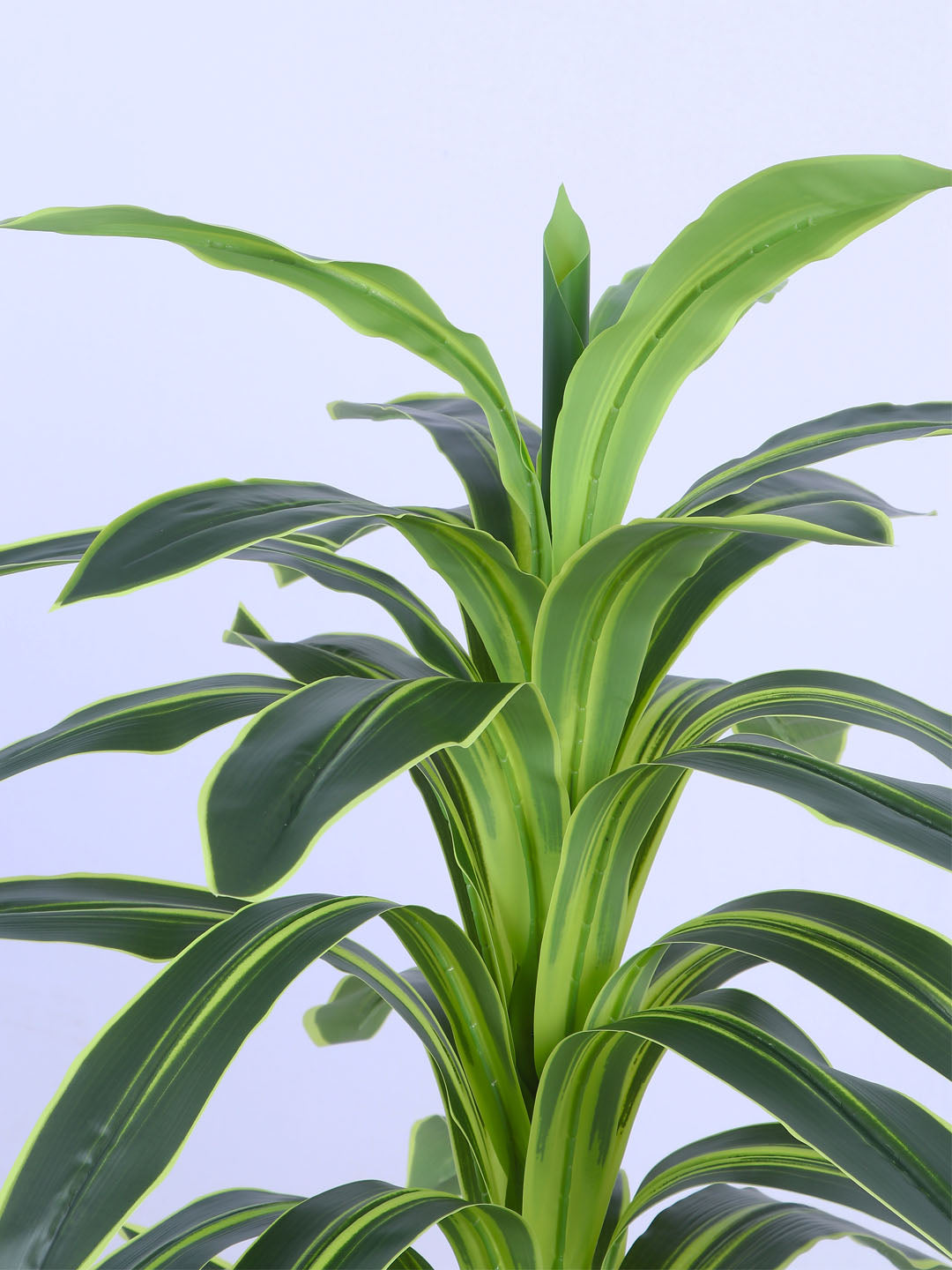 4Ft Artificial Variegated Dracaena Plant in Pot