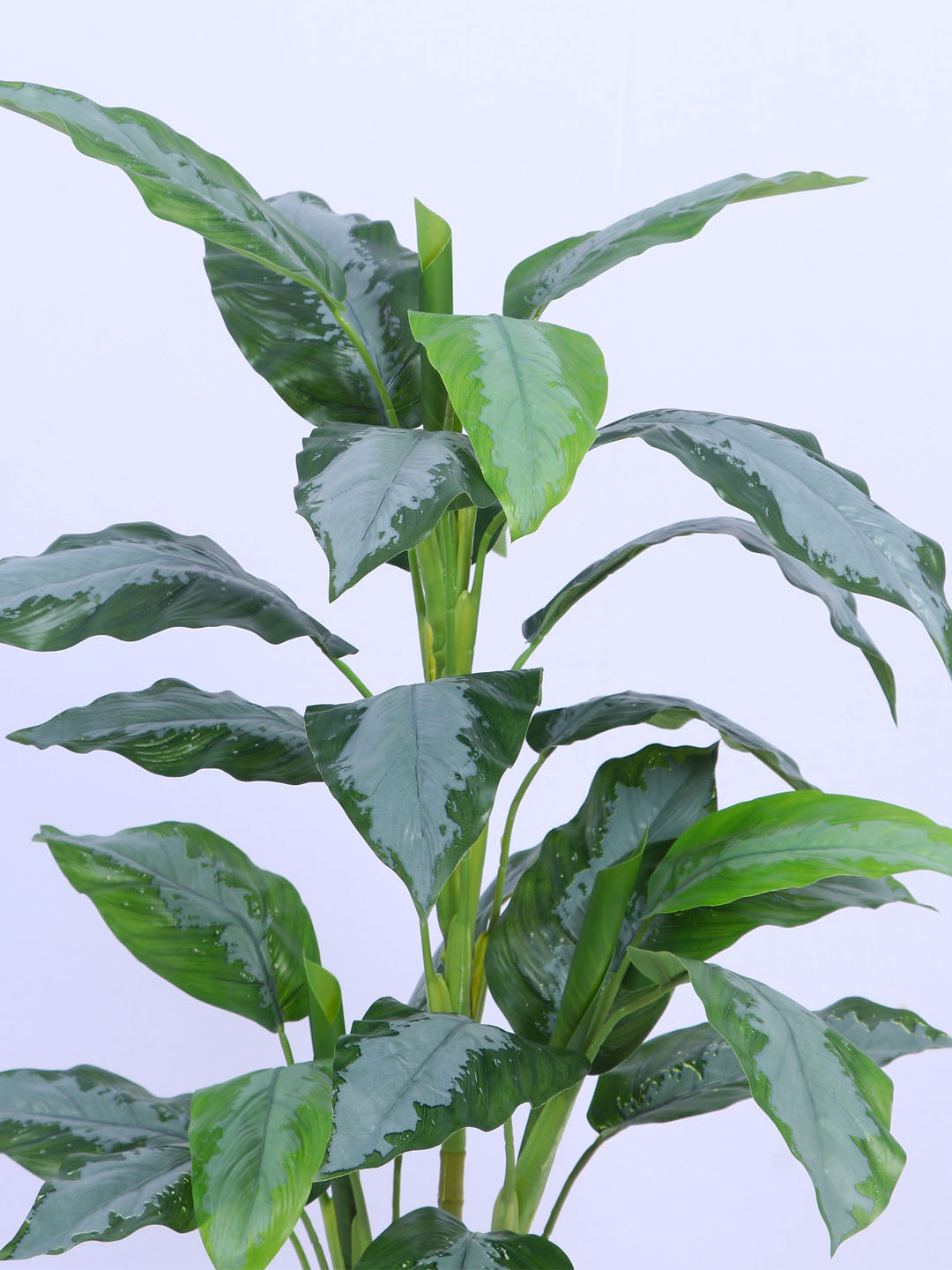 3.1Ft Artificial Dieffenbachia Plant in Pot