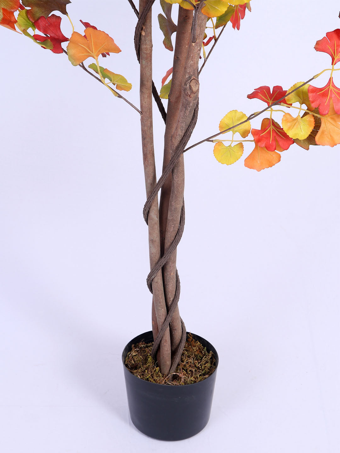 6Ft Artificial Ginkgo Tree in Pot