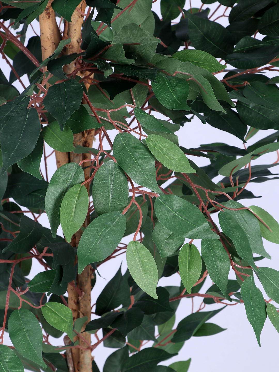 6Ft Artificial Ficus Tree in Pot