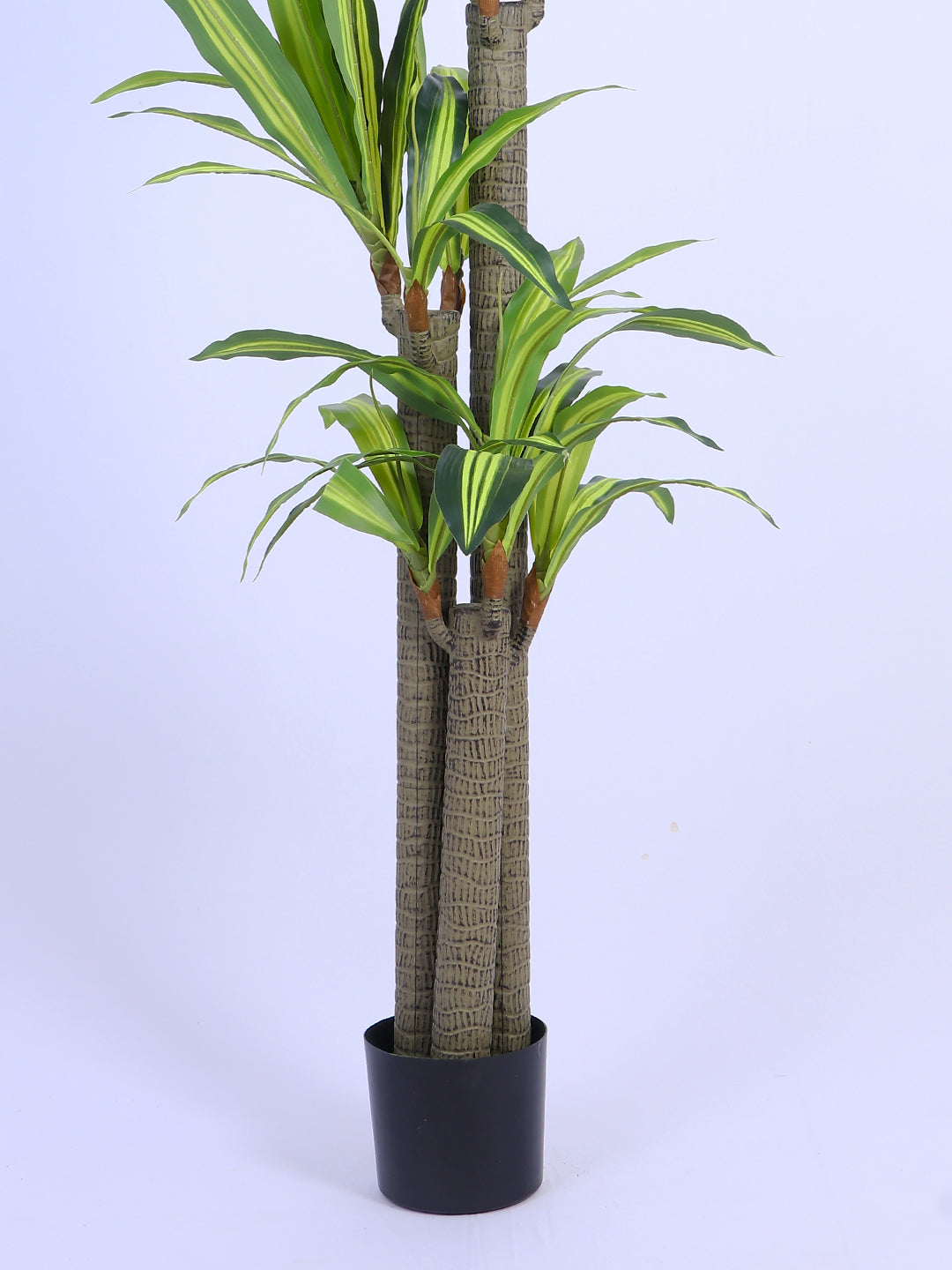 5Ft Artificial Dracaena Reflexa Tree in Pot
