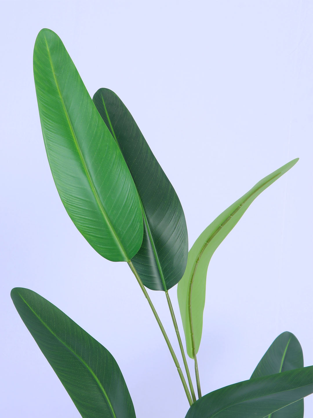 6Ft Artificial Bird of Paradise Plant in Pot