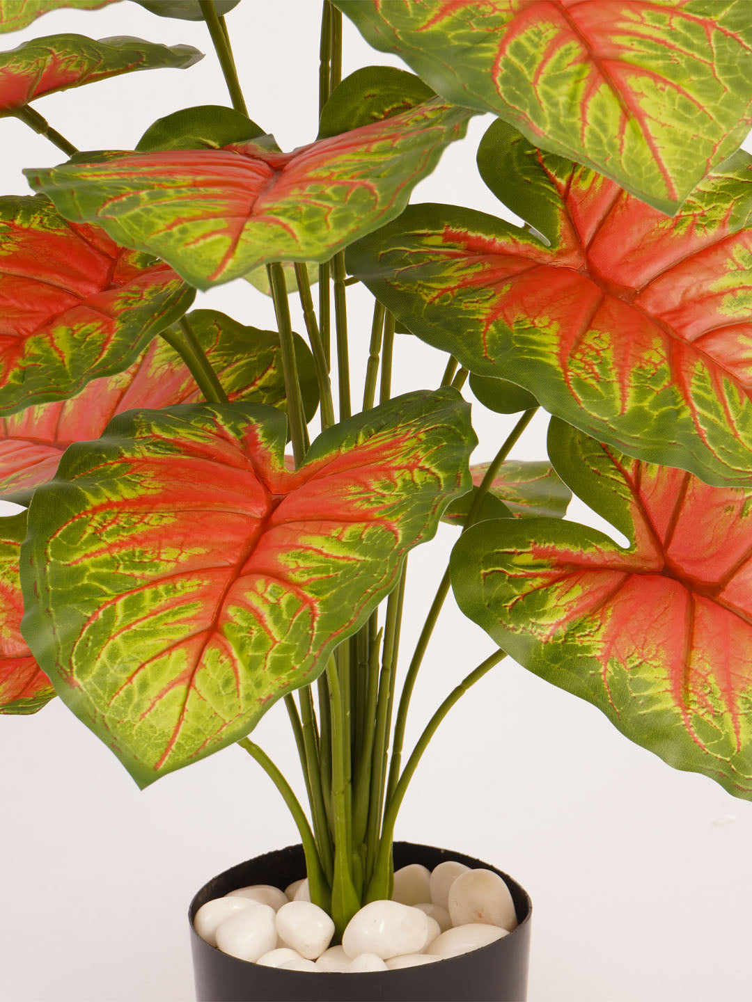 Artificial Caladium Plant - 65cm Tall