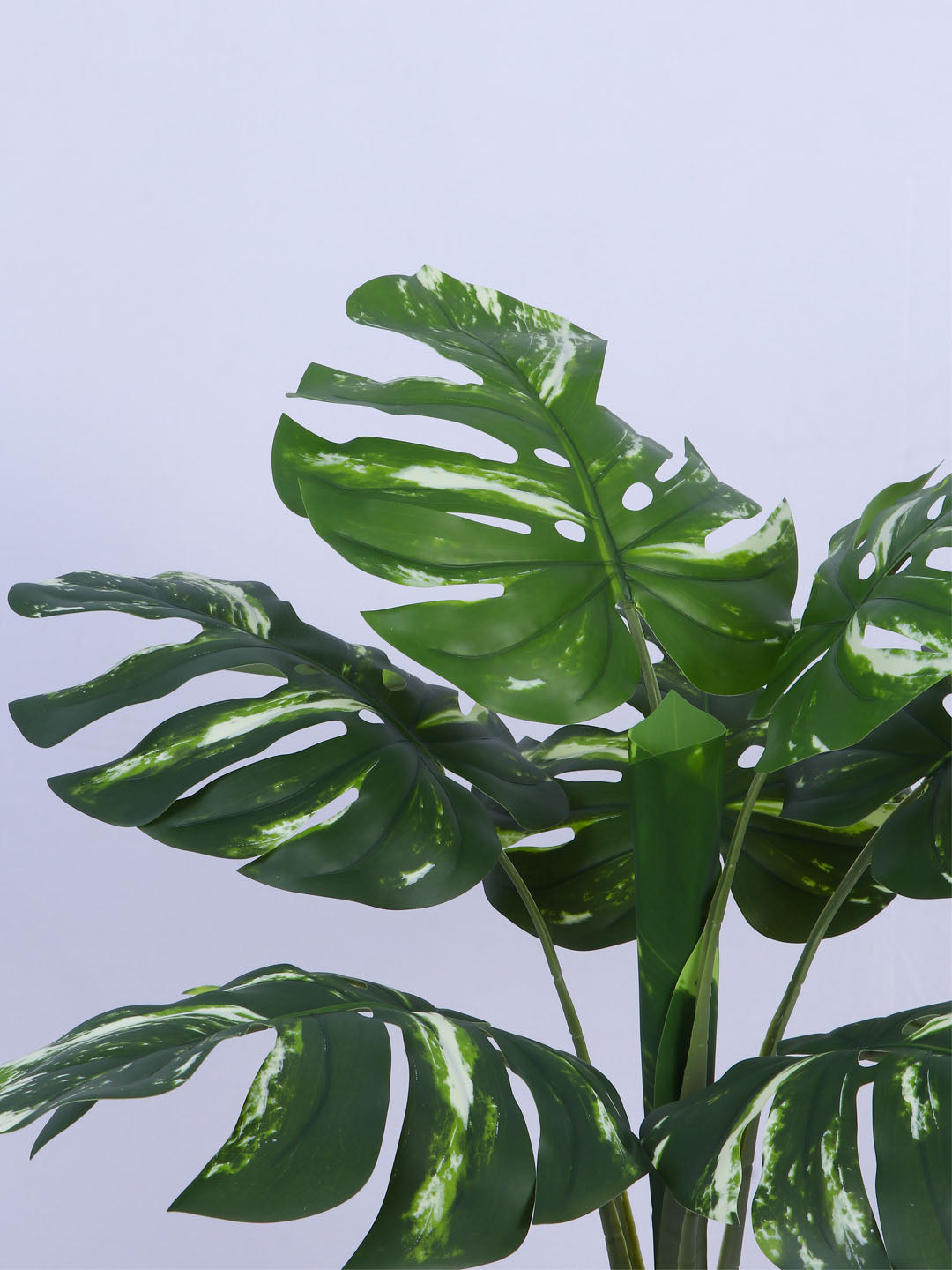 2.8Ft Artificial Variegated Monstera Plant in Pot