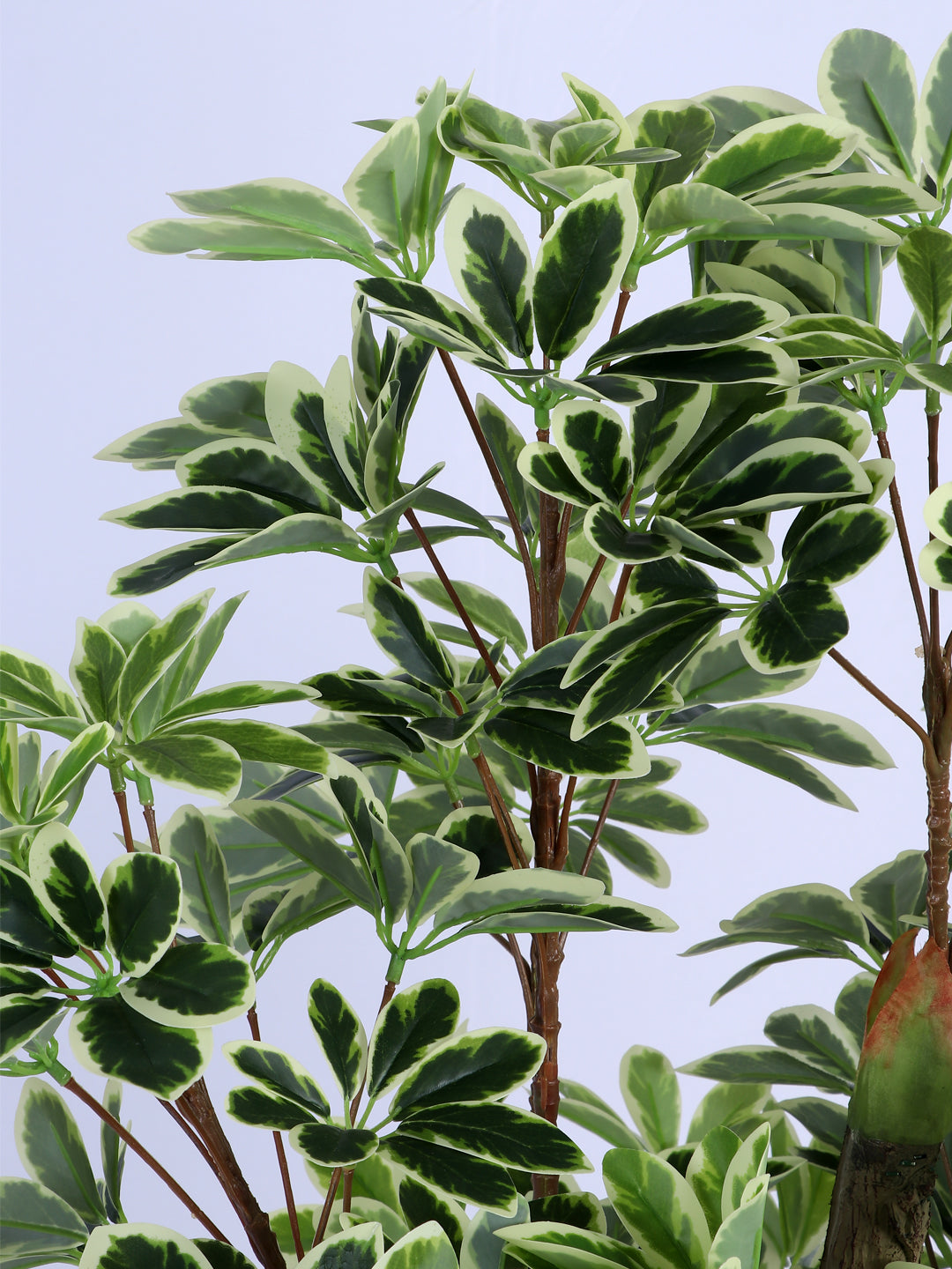6Ft Artificial Umbrella Schefflera Tree in Pot