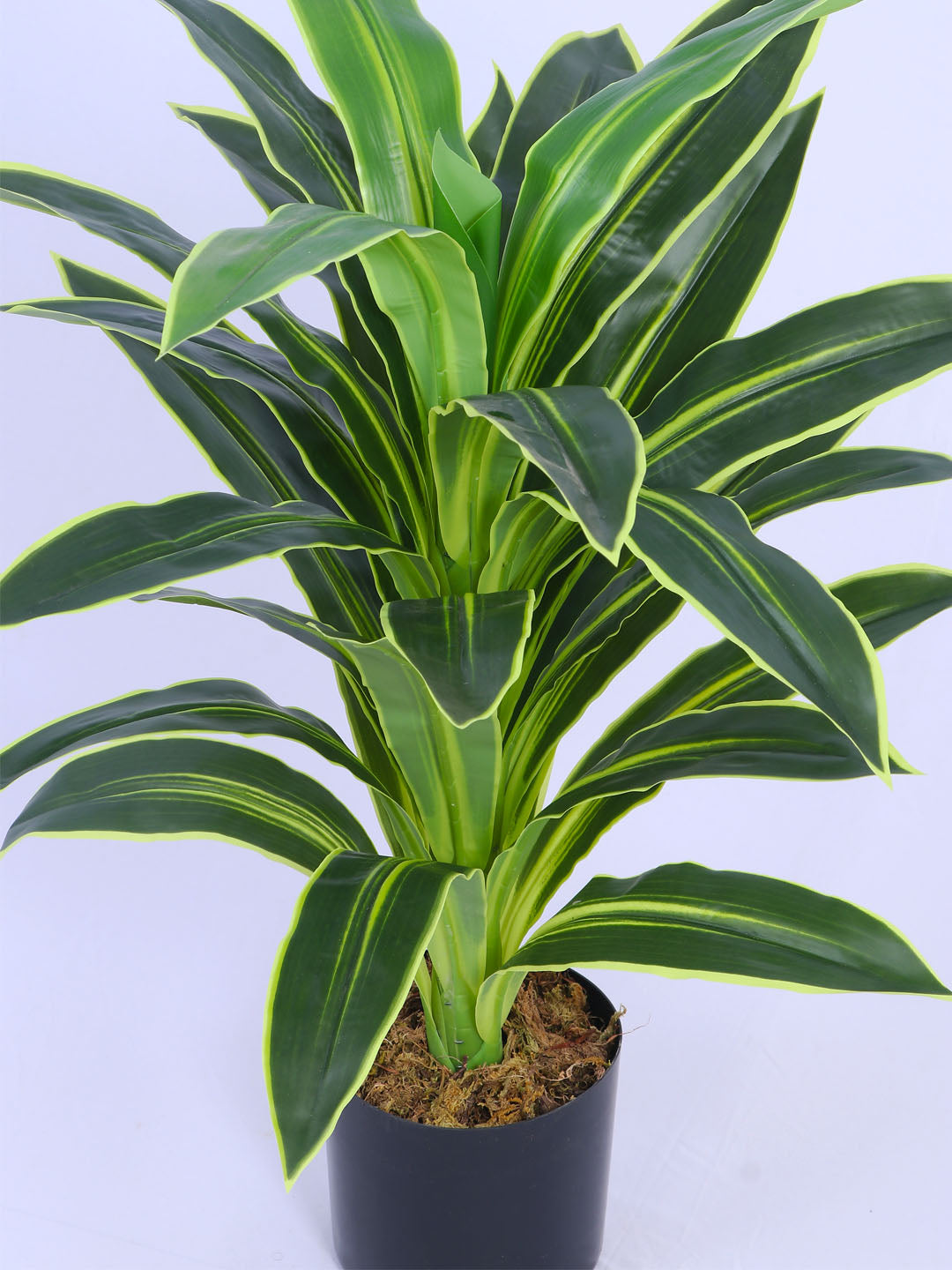 3Ft Artificial Variegated Dracaena Plant in Pot