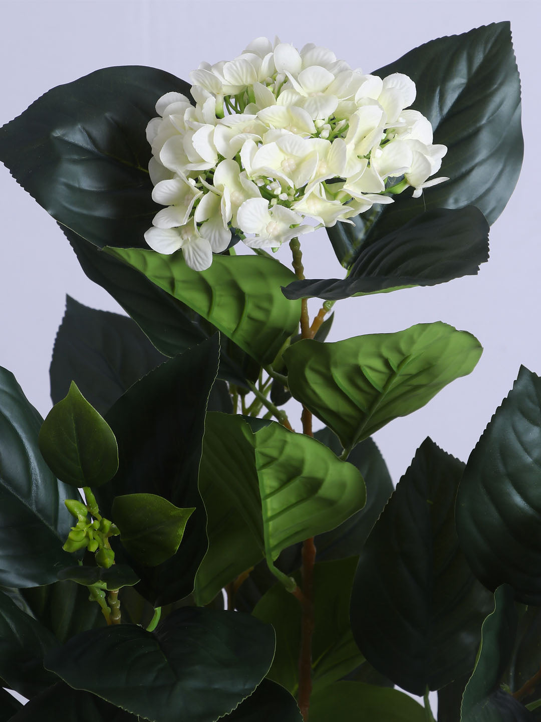 5ft Artificial White Hydrangea Tree