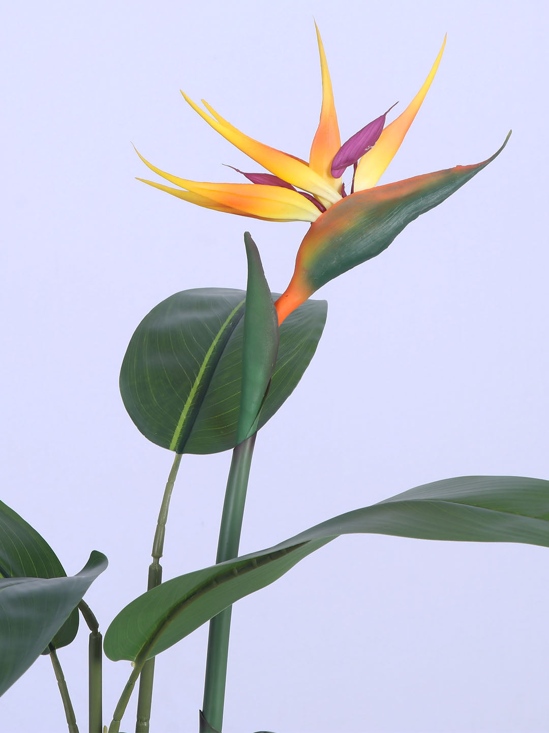 4Ft Artificial Bird of Paradise Plant in Pot