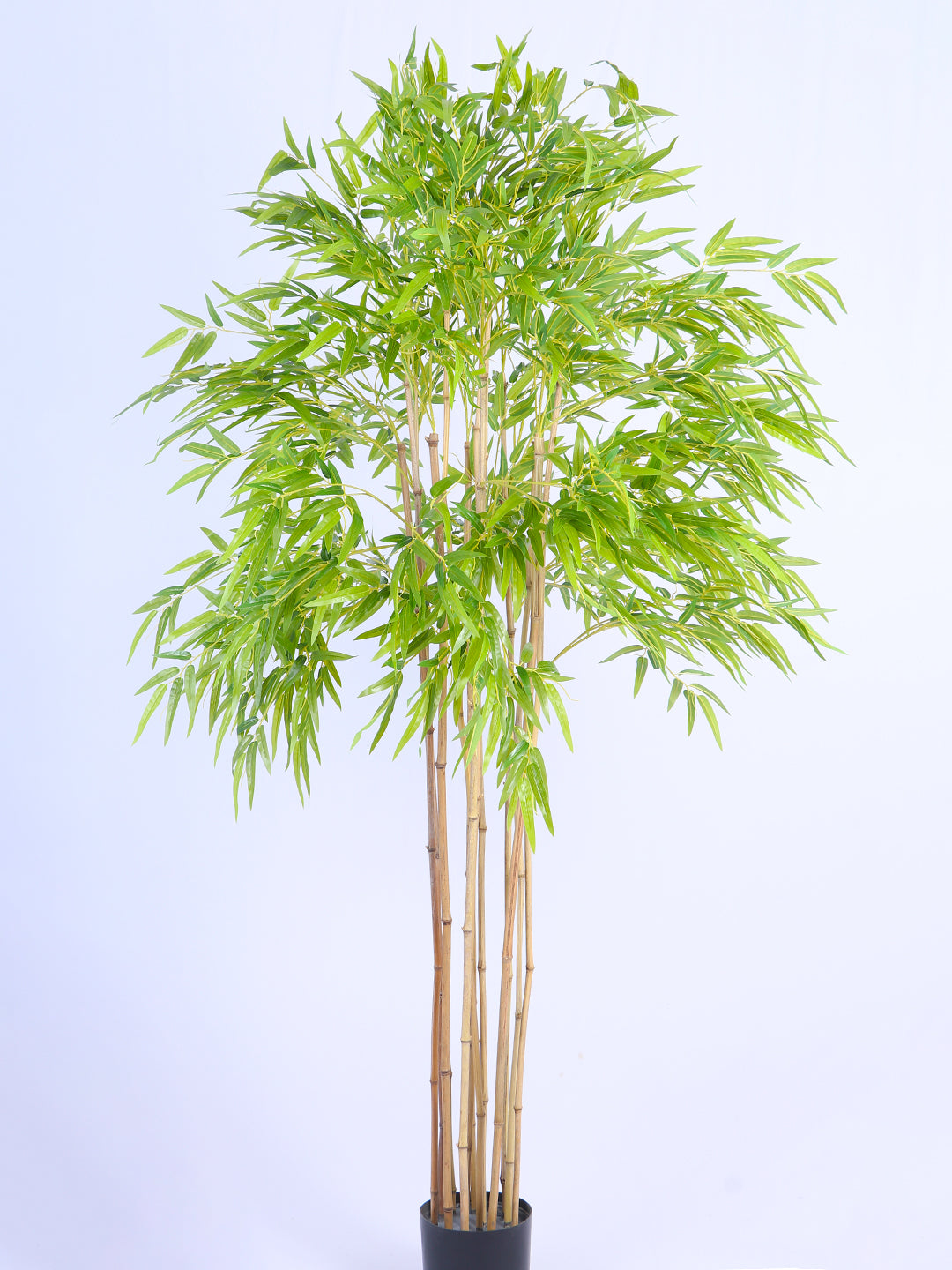 6Ft Artificial Golden Bamboo Tree with Black Pot