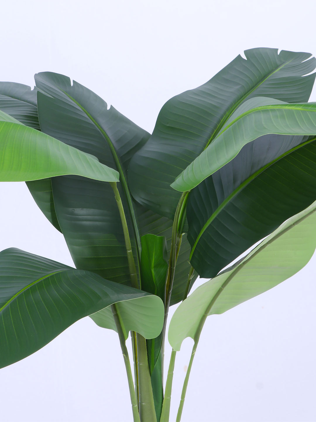 4fT Artificial Banana Plant with Pot