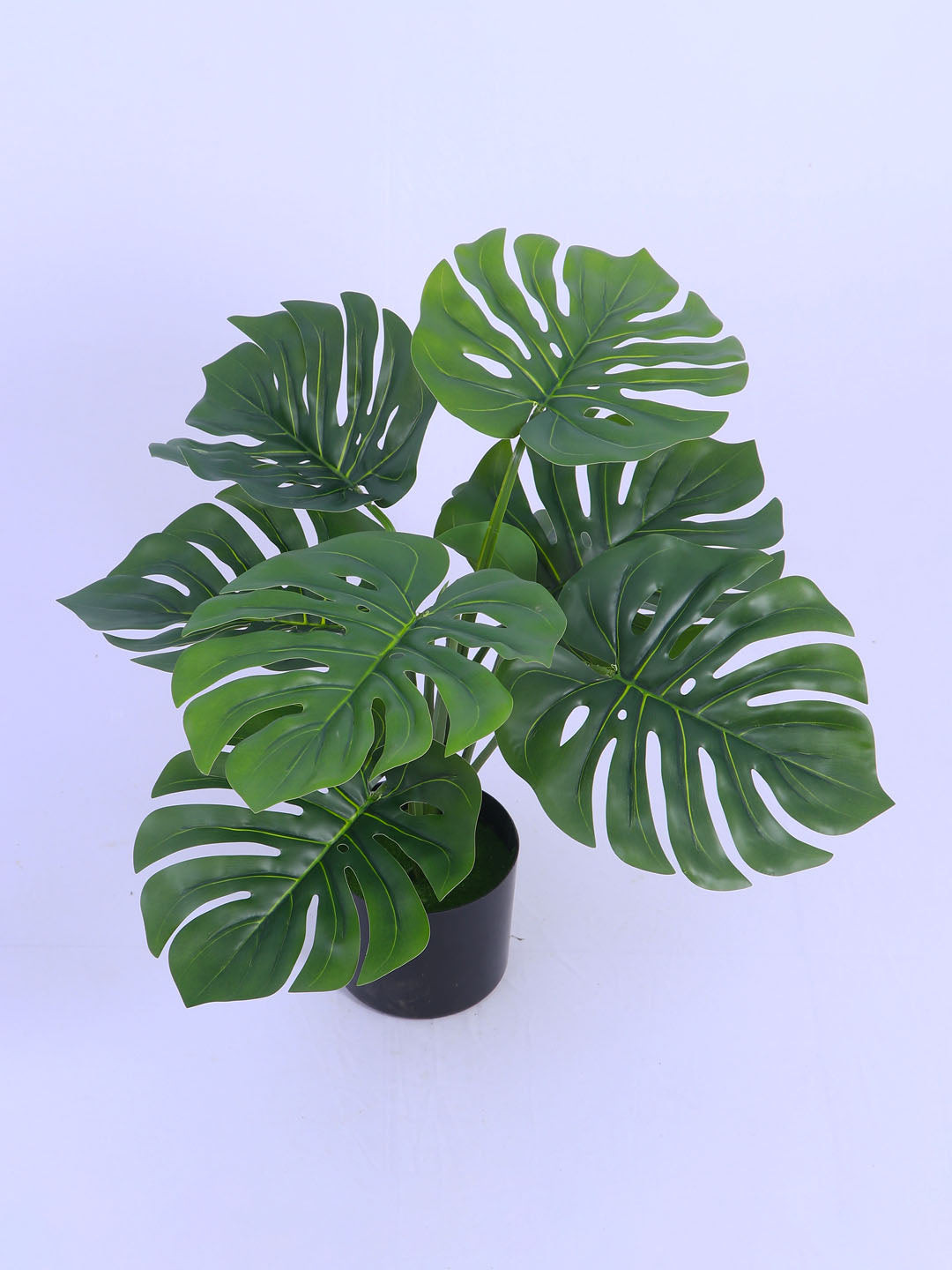 1.8Ft Artificial Monstera Plant in Black Pot