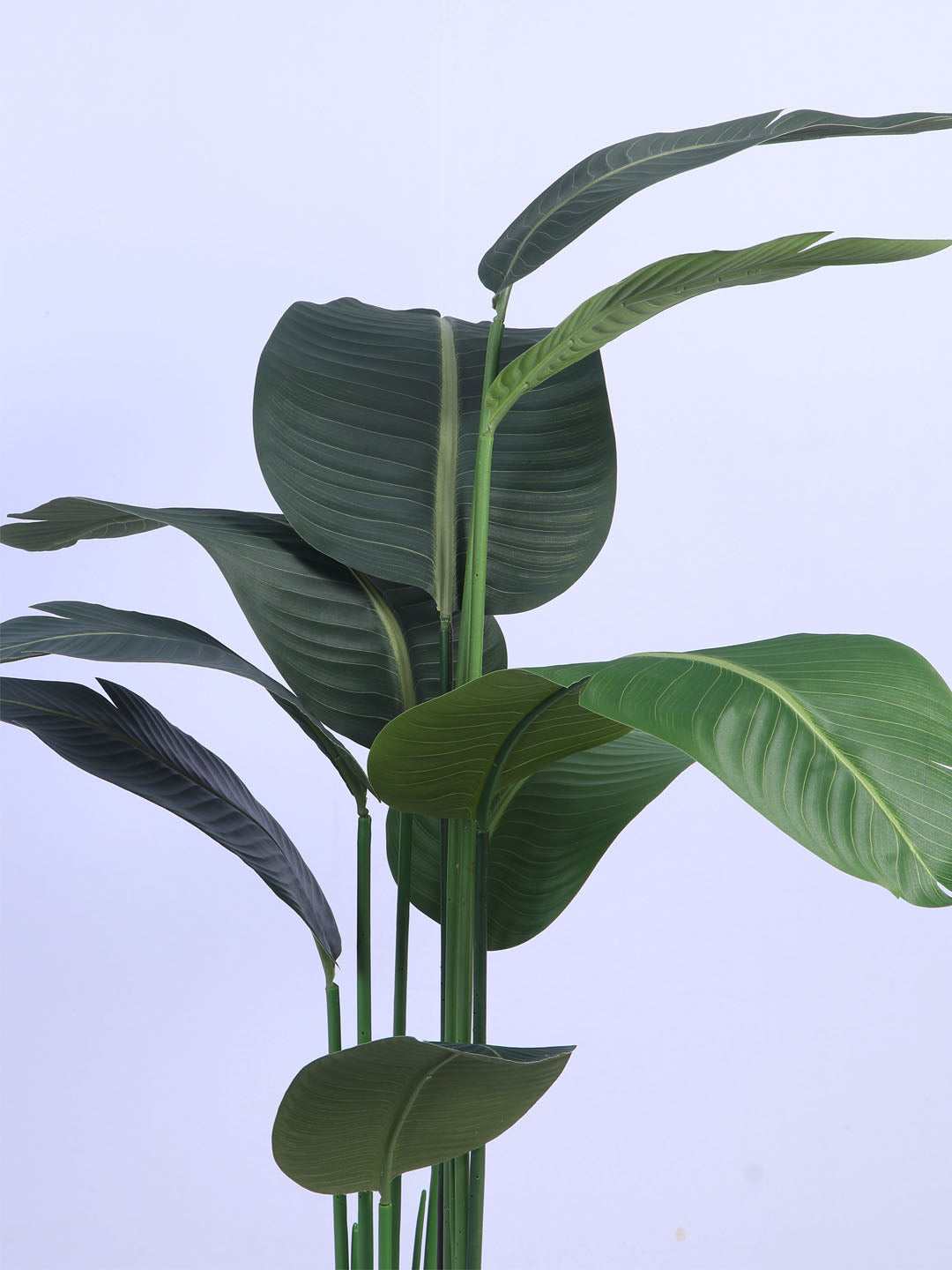 5Ft Artificial Bird of Paradise Plant in Pot