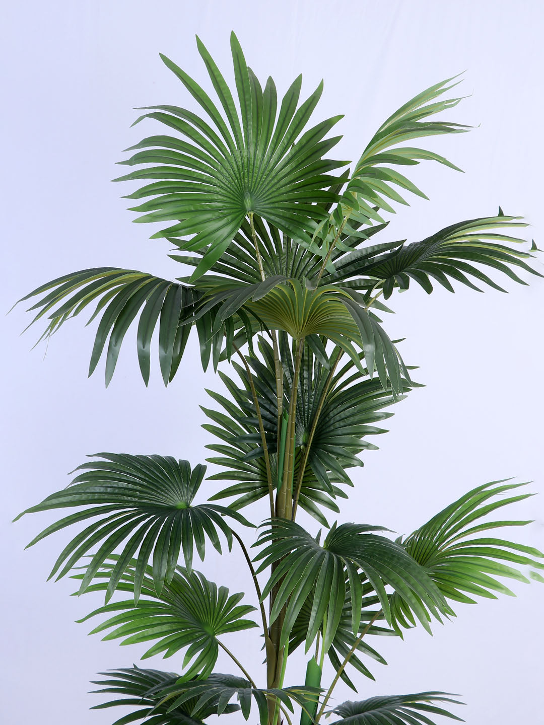 6Ft Artificial Palmetto Palm Tree in Pot)