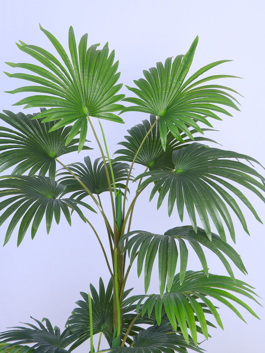 4.7Ft Artificial Palmetto Palm Tree in Pot