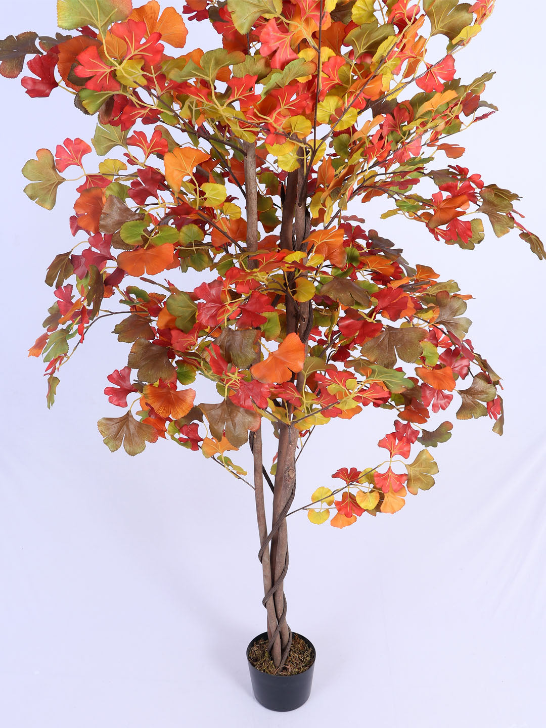 6Ft Artificial Ginkgo Tree in Pot