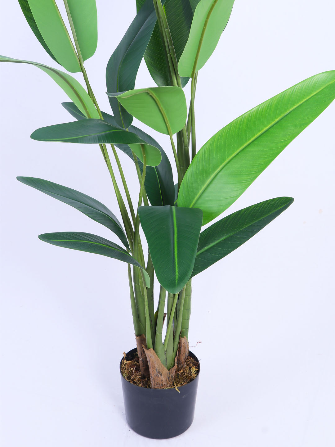 6Ft Artificial Bird of Paradise Plant in Pot