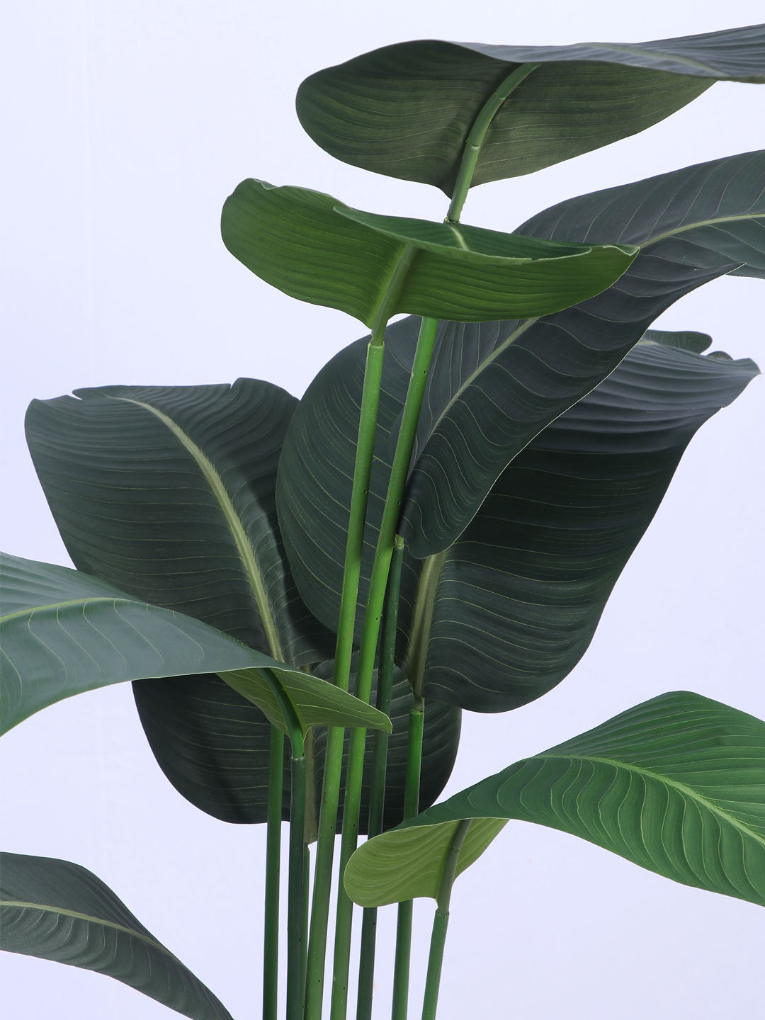 5Ft Artificial Bird of Paradise Plant in Pot