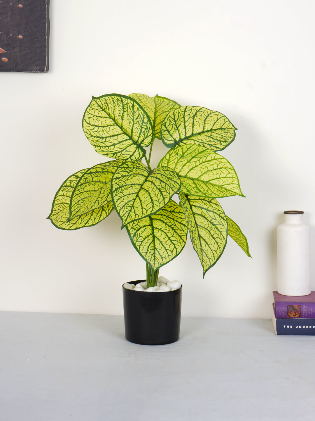 Artificial Dieffenbachia Plant - 55cm Tall