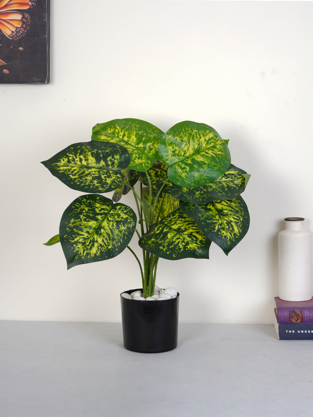 Artificial Dieffenbachia Plant - 55cm Tall