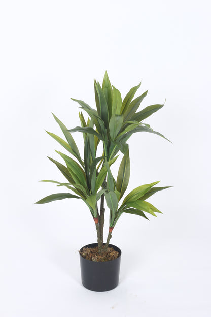 2.4Ft Artificial Dracaena Plants for with Basic Black Pot