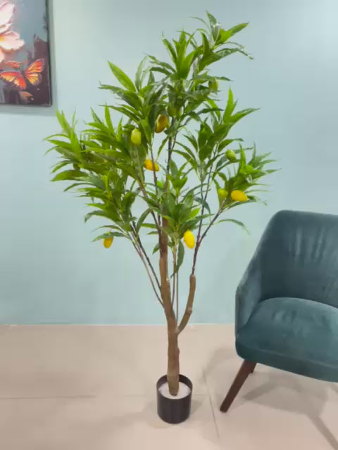 Load video: 5ft Artificial Mango Tree for with Pot