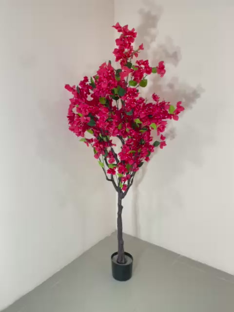 Load video: 5.5Ft Artificial Bougainvillea Tree with Pot