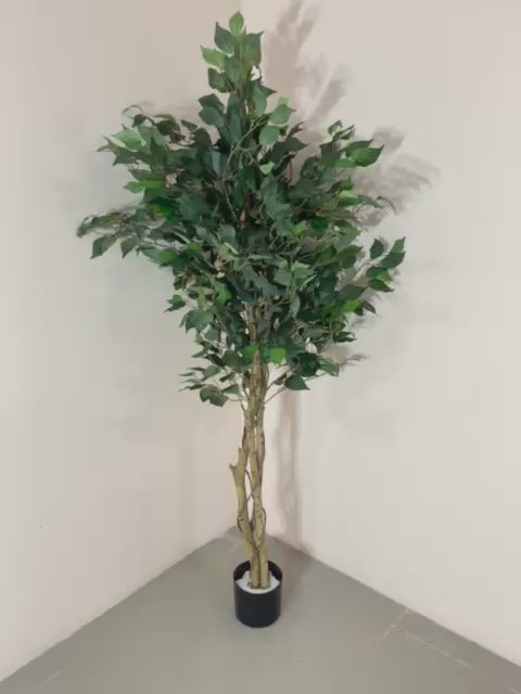 Load video: 5Ft Artificial Ficus Plant for With Pot