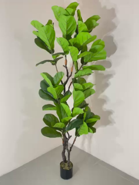Load video: 6ft Artificial Fiddle Leaf Fig Tree with Pot