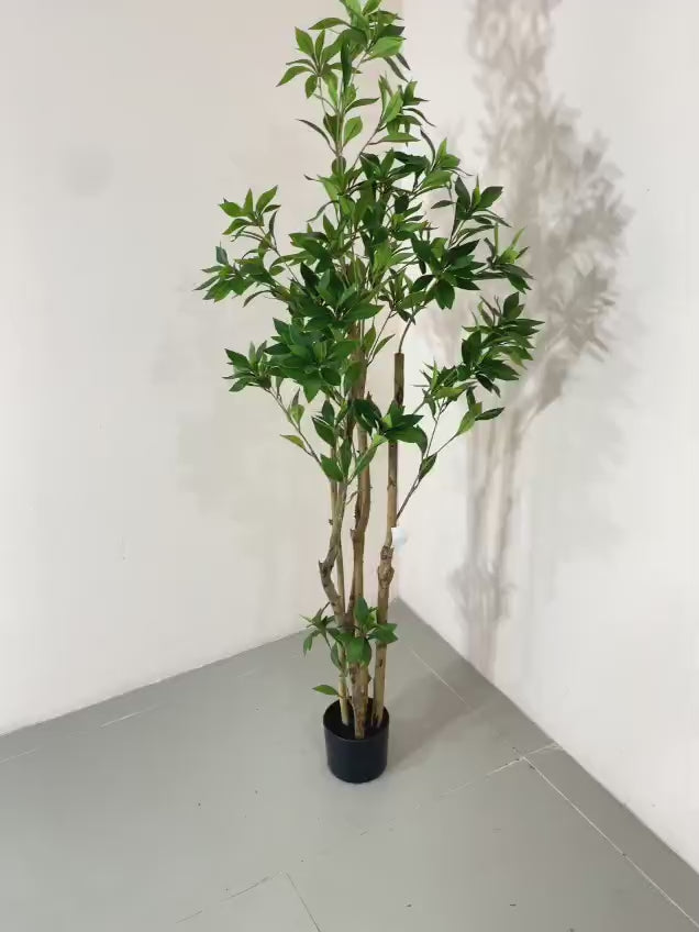 Load video: 5Ft Artificial Real Touch Italian Ruscus Plants with Pot