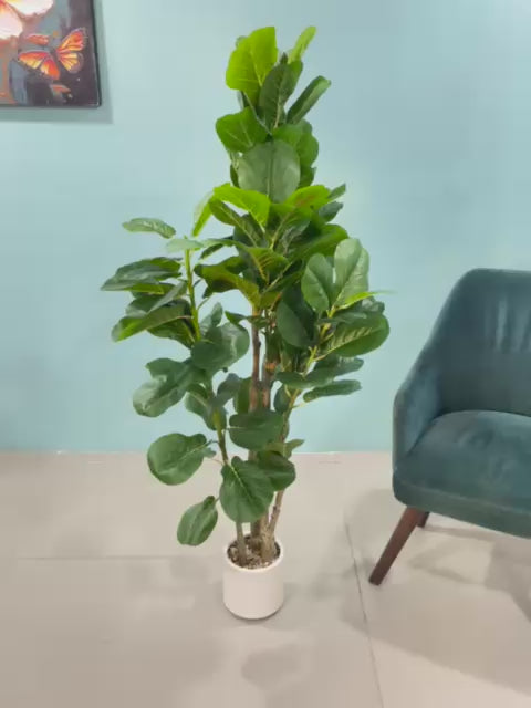 Load video: 5.1Ft Artificial Fiddle Leaf Fig Tree,With Pot