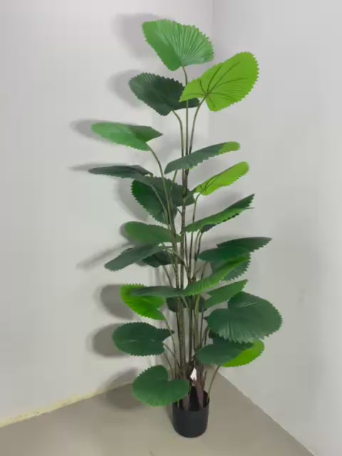 Load video: 5.5Ft Artificial Palm Plant With Pot
