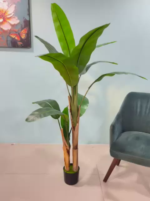 Load video: 5.5Ft Artificial Banana Plant Trees with Pot