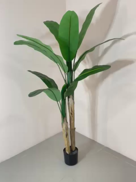Load video: 5.2Ft Artificial Banana Plant Trees with Pot Big Leaves