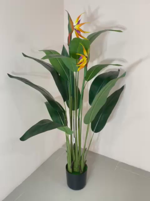 Load video: 5ft Artificial Bird of Paradise Tree with Pot