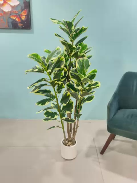 Load video: 5.1Ft Artificial Fiddle Leaf Fig Tree,With Pot