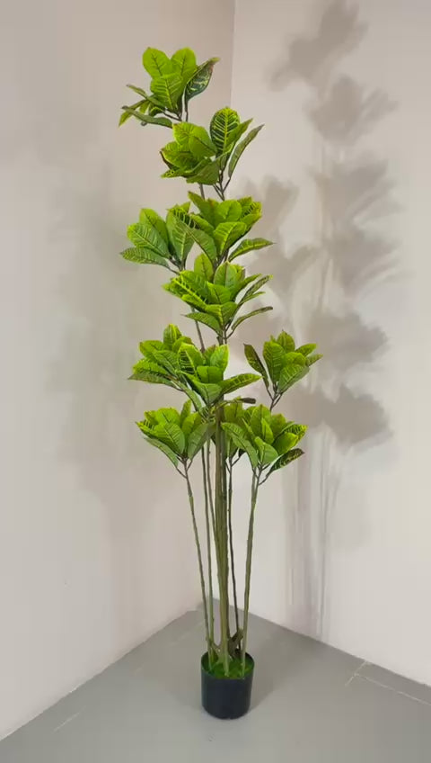 Load video: 6.2Ft Artificial Yellow Croton Plant With Black Pot