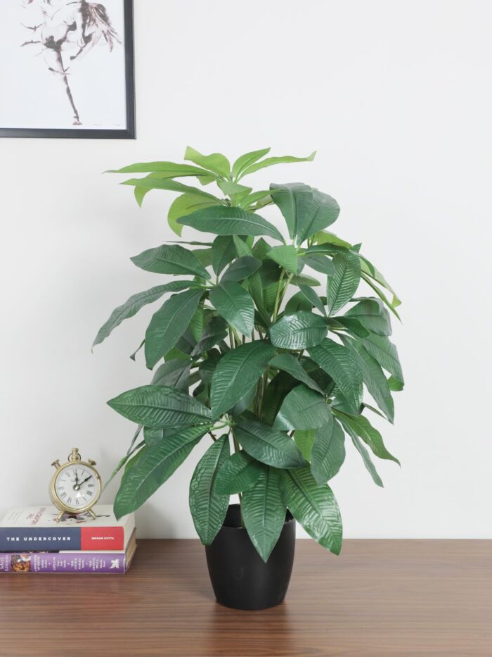 2.2Ft Artificial Pachira Plants