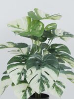 2.2Ft Artificial Monastery Plants - Image 4