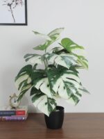 2.2Ft Artificial Monastery Plants