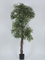 6.Ft Artificial Ficus Trees with Pot - Image 2