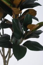 5.2Ft Artificial Rubber Plants with Pot - Image 5