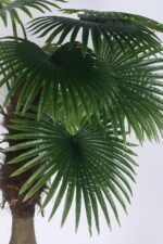 6.Ft Artificial Palm Tree - Image 3