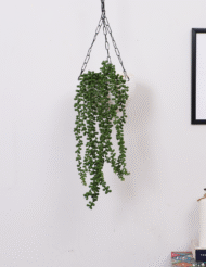 1.6Ft Artificial Hanging String of Pearls Creeper Plants Of 2