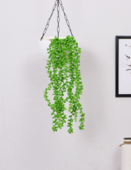 1.6Ft Artificial Hanging String of Pearls Creeper Plants Of 2