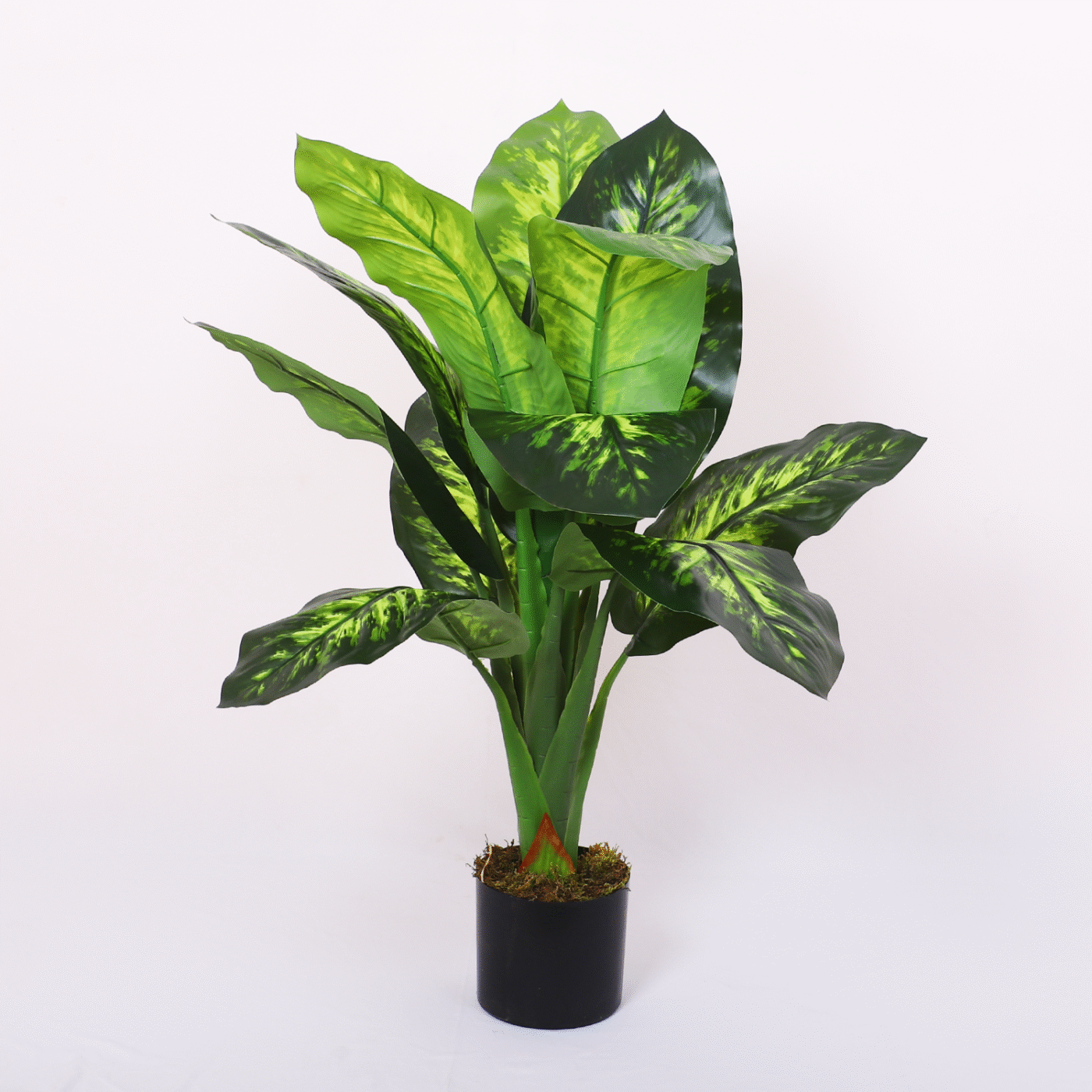 3.Ft Artificial Dieffenbachia Plant Trees with Pot - Image 2