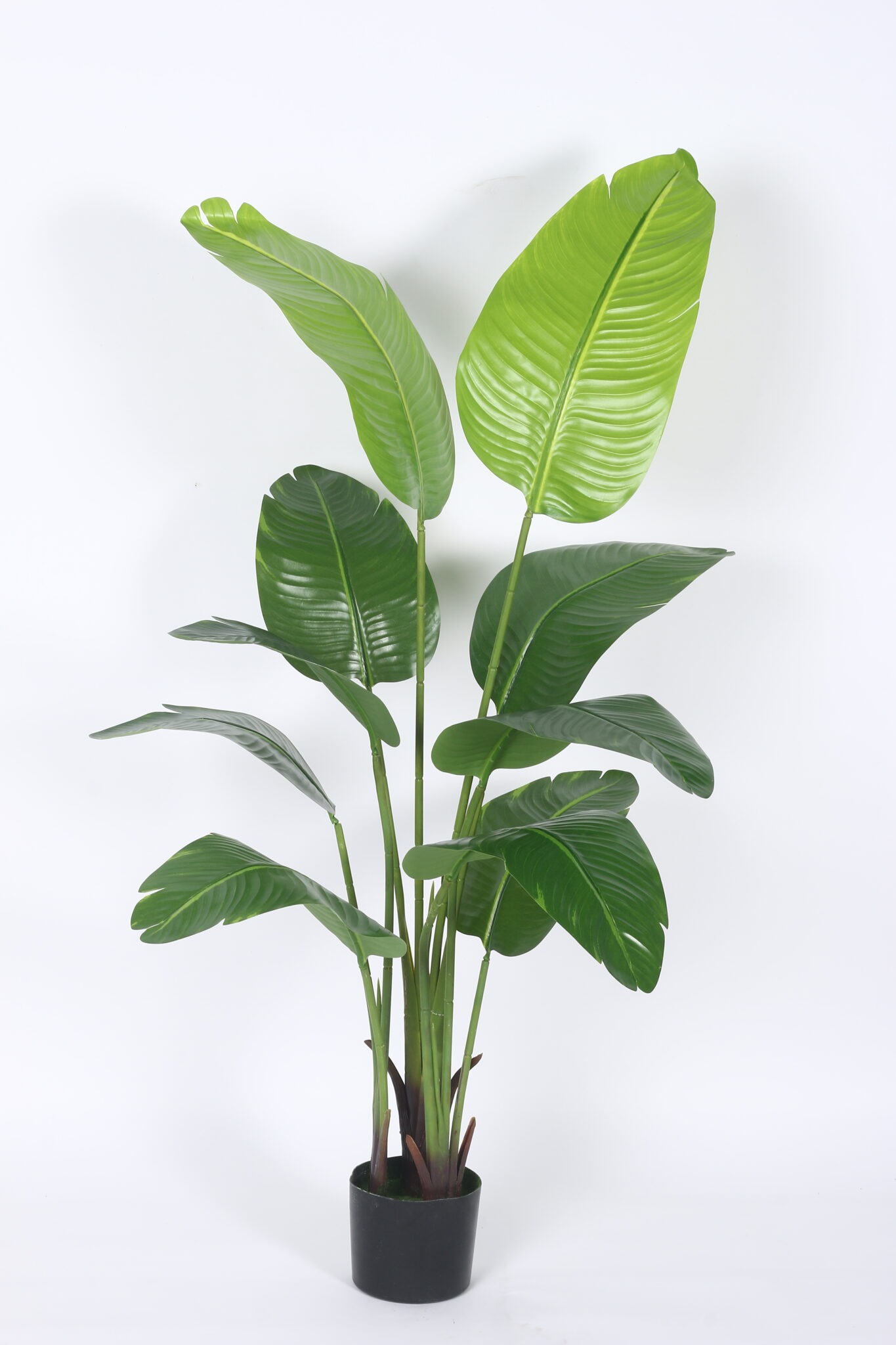5Ft Artificial Banana Plants with Pot - Image 2
